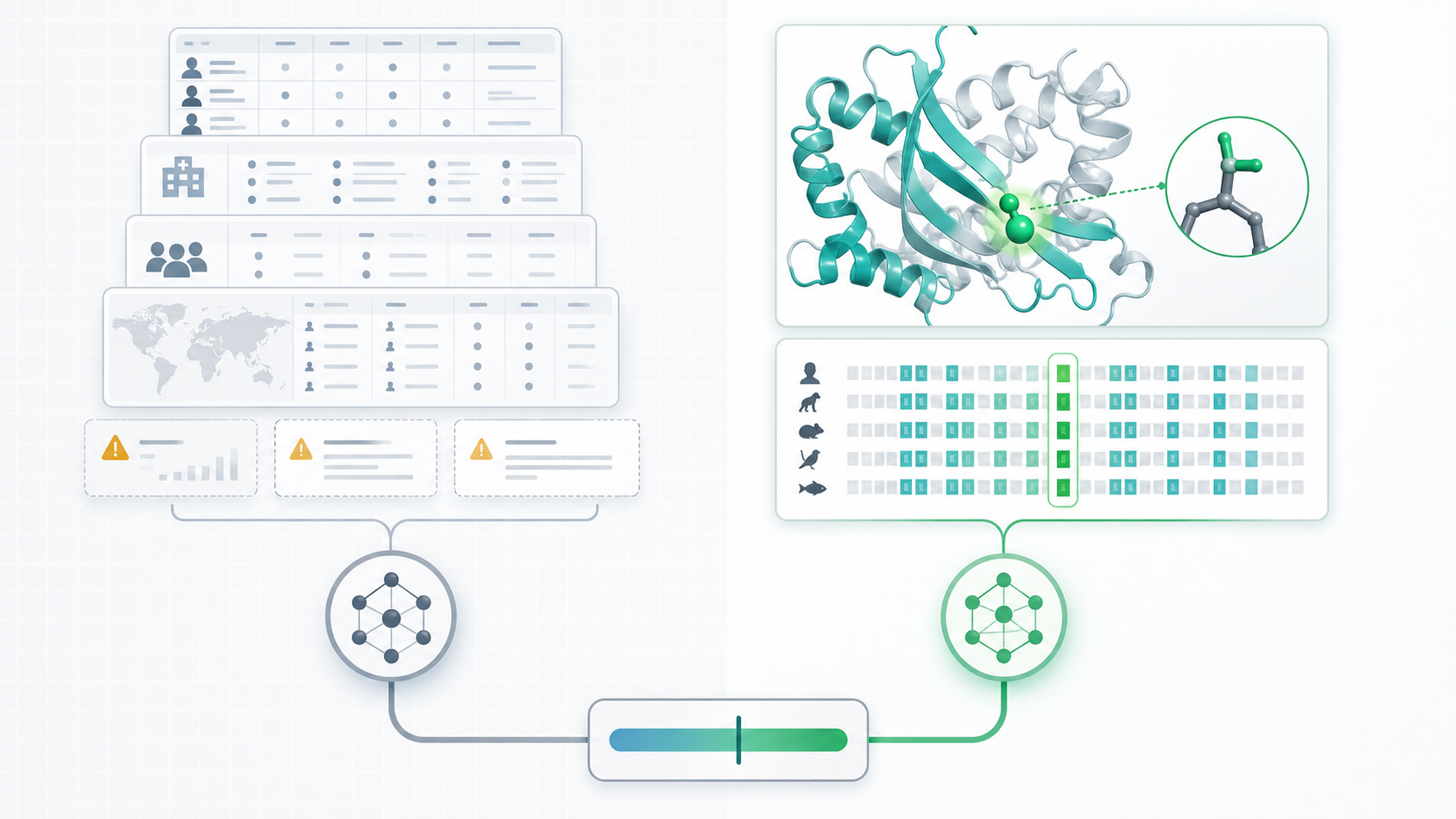 Comparison illustration showing database cards on one side and protein structure plus evolutionary conservation on the other side.